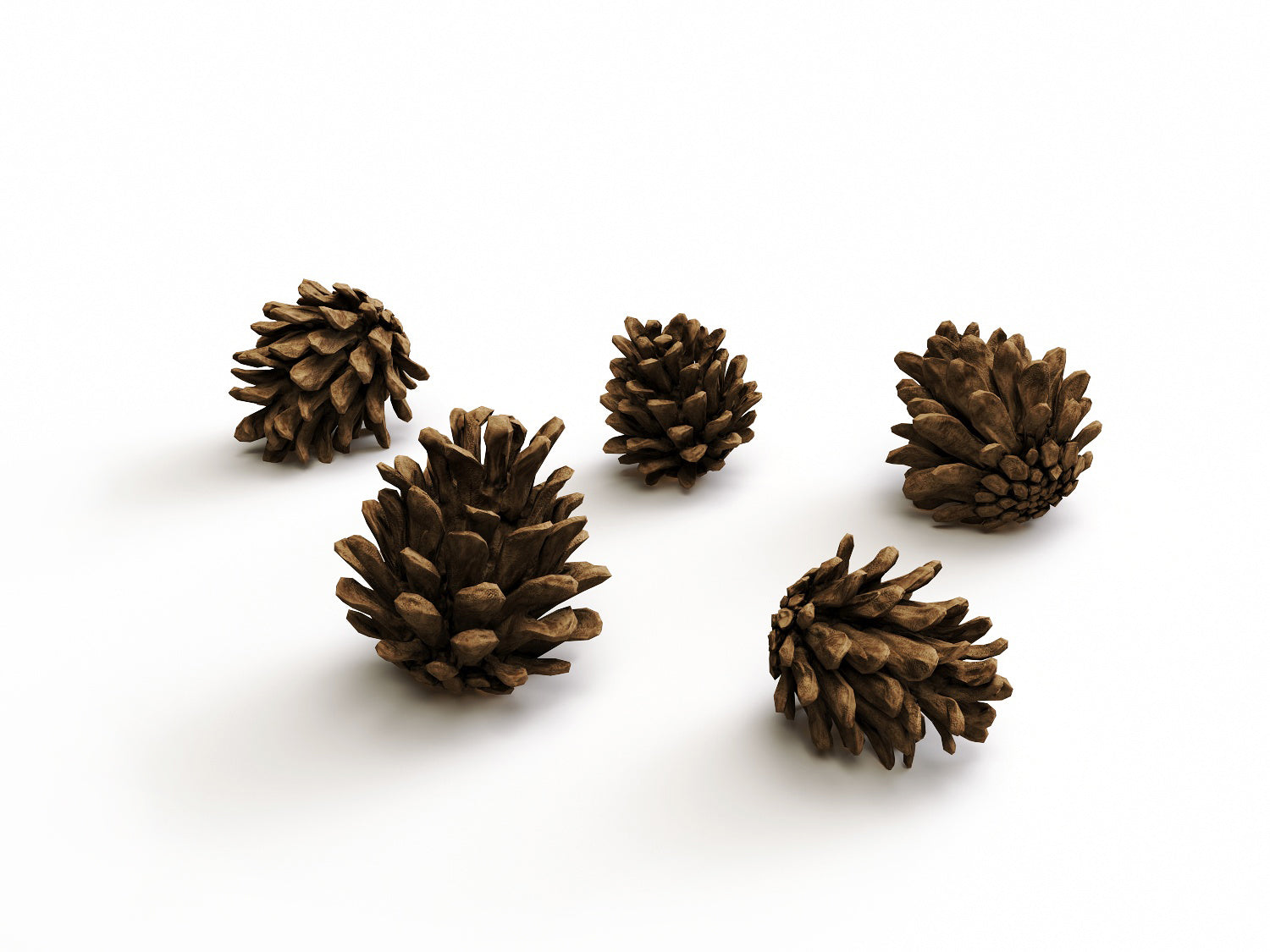 22,136 Small Pine Cones Images, Stock Photos, 3D objects, & Vectors